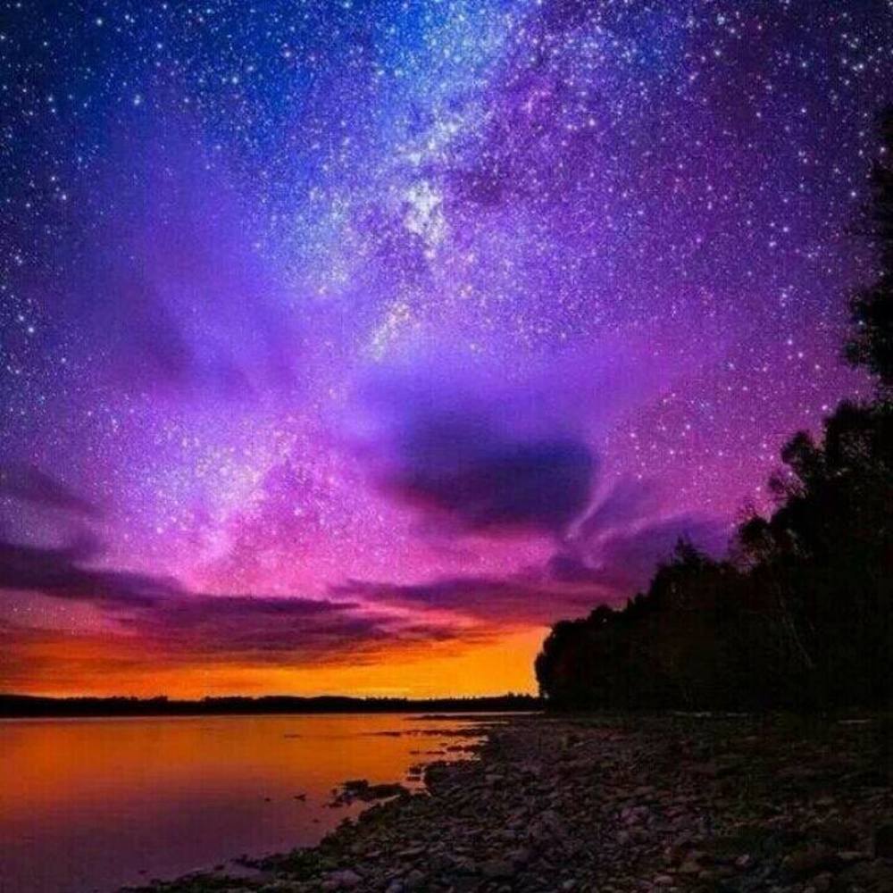 Meet your Posher, Honey